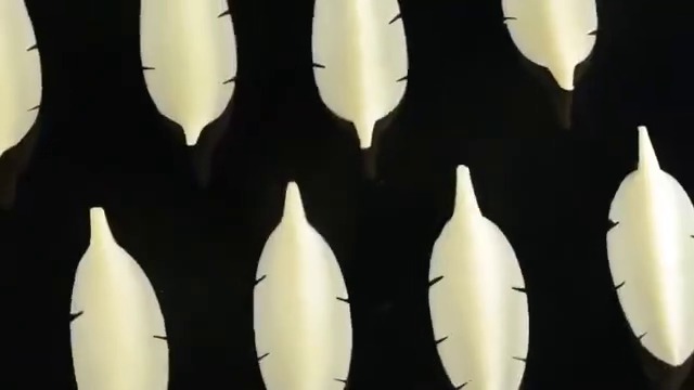 手工羽毛甄选